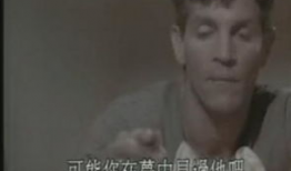 红杏视频在线观看,在线观看，畅享视听盛宴