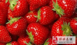 草莓视频网站,探索无限娱乐新天地